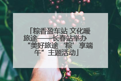 粽香盈车站 文化暖旅途——长春站举办 “美好旅途‘粽’享端午”主题活动