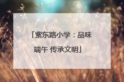 紫东路小学：品味端午 传承文明