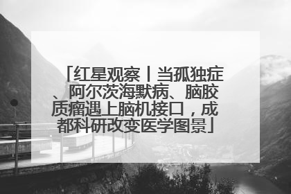 红星观察丨当孤独症、阿尔茨海默病、脑胶质瘤遇上脑机接口，成都科研改变医学图景