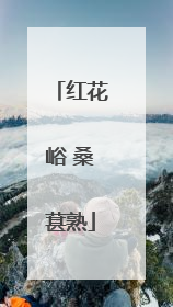 红花峪 桑葚熟