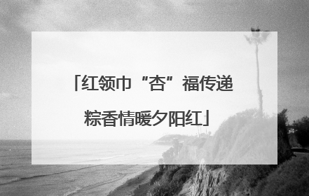 红领巾“杏”福传递 粽香情暖夕阳红
