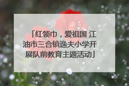 红领巾，爱祖国 江油市三合镇逸夫小学开展队前教育主题活动