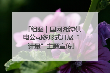 组图｜国网湘潭供电公司多形式开展“计量”主题宣传
