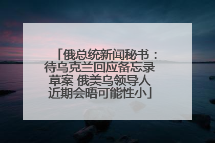 俄总统新闻秘书：待乌克兰回应备忘录草案 俄美乌领导人近期会晤可能性小