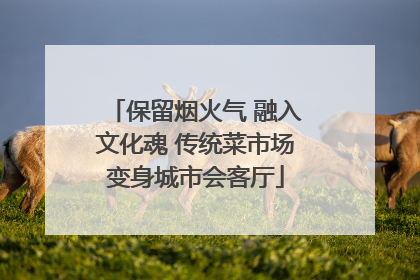 保留烟火气 融入文化魂 传统菜市场变身城市会客厅
