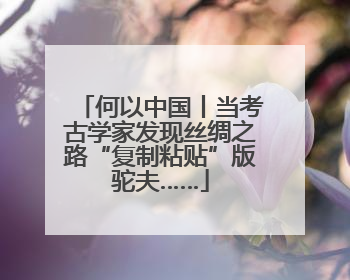 何以中国丨当考古学家发现丝绸之路“复制粘贴”版驼夫……