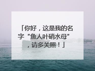你好，这是我的名字“鱼人叶硝水母”，请多关照！