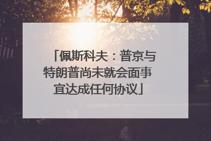 佩斯科夫：普京与特朗普尚未就会面事宜达成任何协议