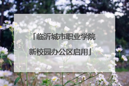临沂城市职业学院新校园办公区启用