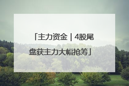 主力资金｜4股尾盘获主力大幅抢筹