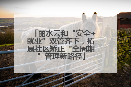 丽水云和“安全+就业”双管齐下，拓展社区矫正“全周期”管理新路径
