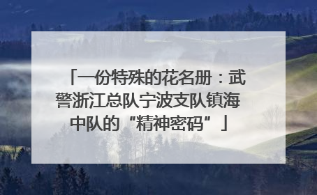 一份特殊的花名册：武警浙江总队宁波支队镇海中队的“精神密码”