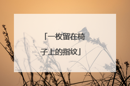 一枚留在椅子上的指纹