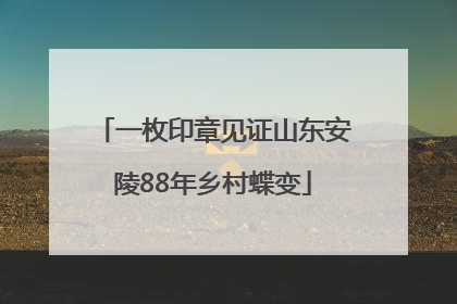 一枚印章见证山东安陵88年乡村蝶变