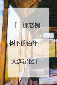 一棵老槐树下的百年大连记忆