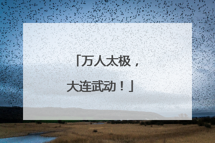 万人太极，大连武动！