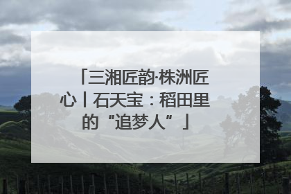 三湘匠韵·株洲匠心丨石天宝：稻田里的“追梦人”