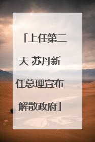 上任第二天 苏丹新任总理宣布解散政府