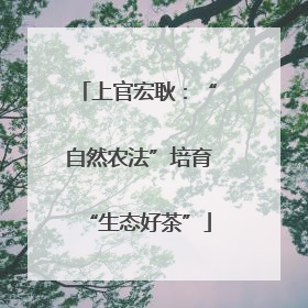 上官宏耿：“自然农法”培育“生态好茶”