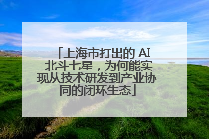 上海市打出的 AI 北斗七星，为何能实现从技术研发到产业协同的闭环生态
