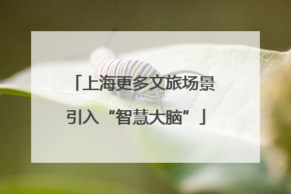 上海更多文旅场景引入“智慧大脑”