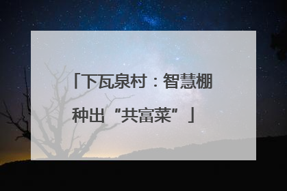 下瓦泉村：智慧棚种出“共富菜”