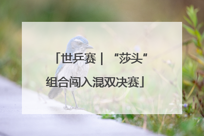 世乒赛｜“莎头”组合闯入混双决赛