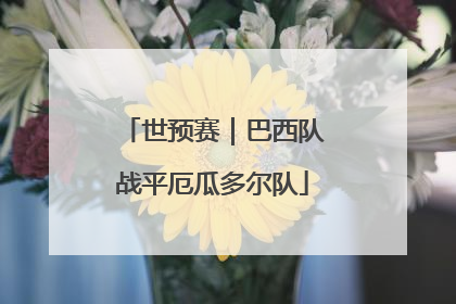 世预赛｜巴西队战平厄瓜多尔队