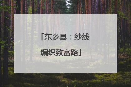 东乡县：纱线编织致富路