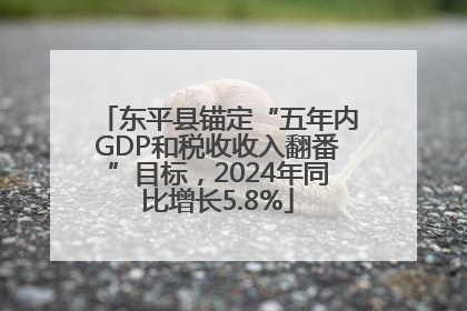 东平县锚定“五年内GDP和税收收入翻番”目标，2024年同比增长5.8%