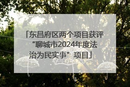 东昌府区两个项目获评“聊城市2024年度法治为民实事”项目