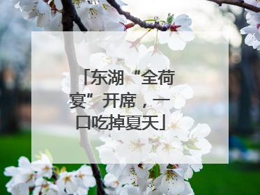 东湖“全荷宴”开席，一口吃掉夏天