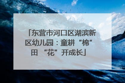 东营市河口区湖滨新区幼儿园：童耕“棉”田 “花”开成长