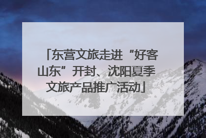 东营文旅走进“好客山东”开封、沈阳夏季文旅产品推广活动