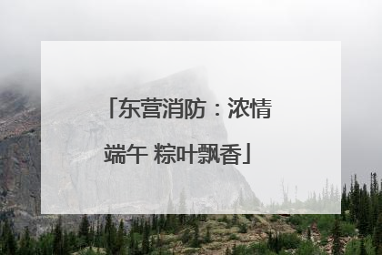 东营消防：浓情端午 粽叶飘香