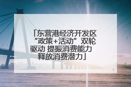 东营港经济开发区“政策+活动”双轮驱动 提振消费能力 释放消费潜力