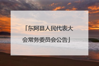 东阿县人民代表大会常务委员会公告