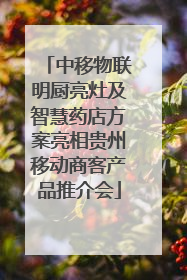 中移物联明厨亮灶及智慧药店方案亮相贵州移动商客产品推介会