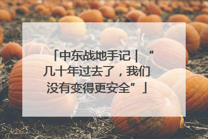 中东战地手记｜“几十年过去了，我们没有变得更安全”