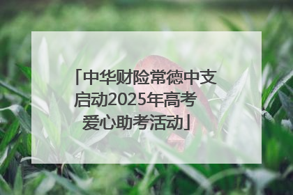 中华财险常德中支启动2025年高考爱心助考活动