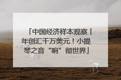 中国经济样本观察丨年创汇千万美元！小提琴之音“响”彻世界