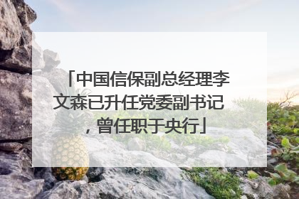 中国信保副总经理李文森已升任党委副书记，曾任职于央行