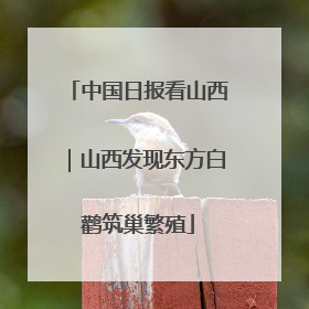 中国日报看山西｜山西发现东方白鹳筑巢繁殖