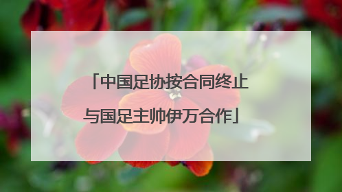 中国足协按合同终止与国足主帅伊万合作