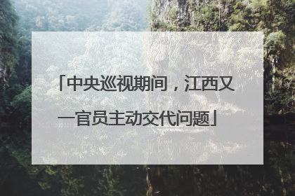 中央巡视期间，江西又一官员主动交代问题