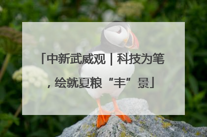 中新武威观｜科技为笔，绘就夏粮“丰”景