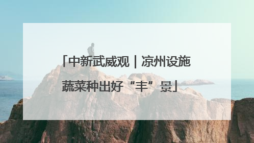 中新武威观｜凉州设施蔬菜种出好“丰”景