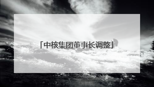 中核集团董事长调整