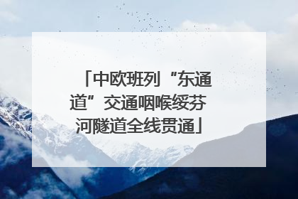 中欧班列“东通道”交通咽喉绥芬河隧道全线贯通