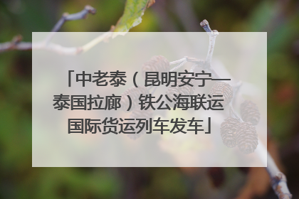 中老泰（昆明安宁—泰国拉廊）铁公海联运国际货运列车发车